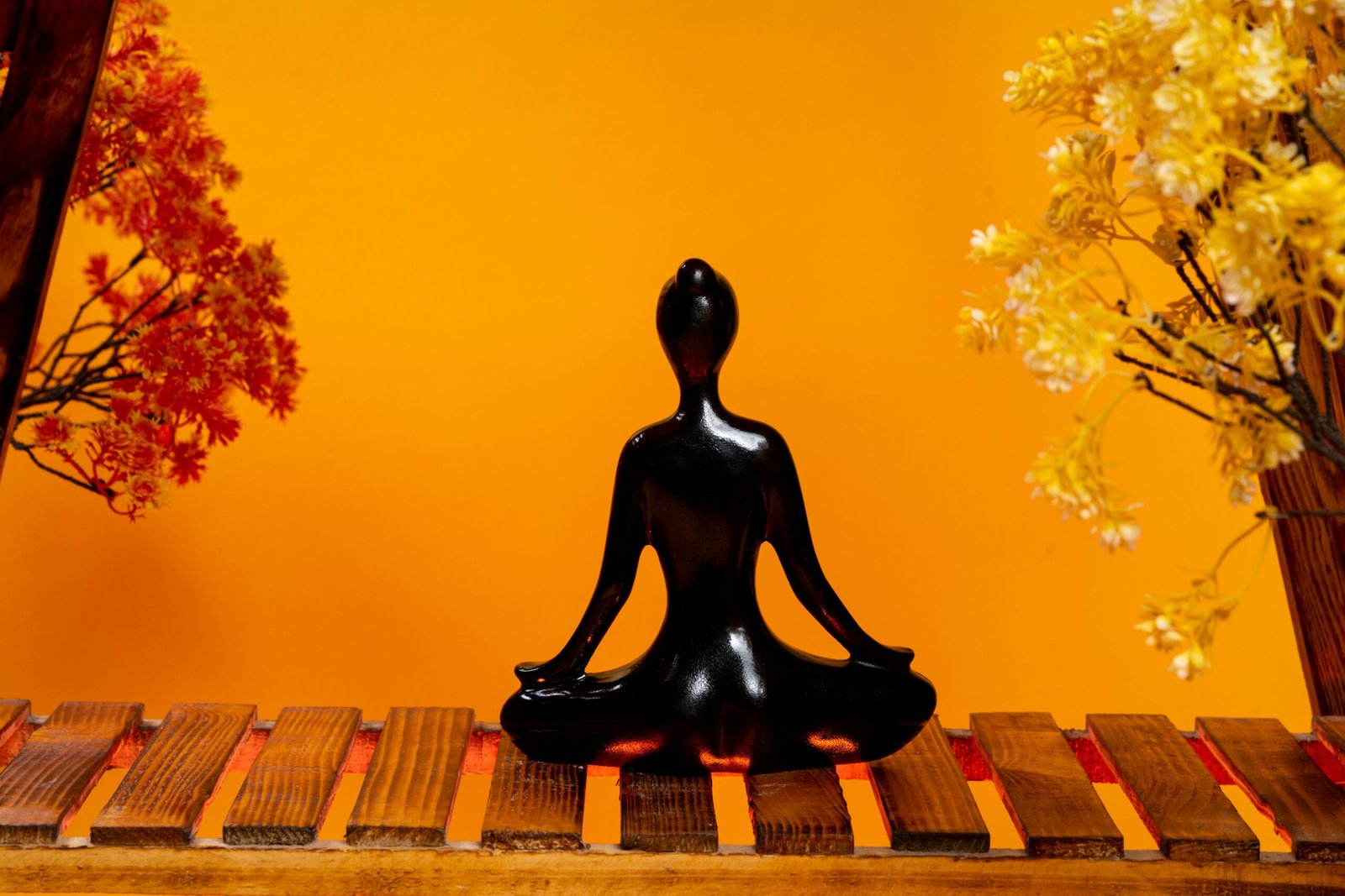 <p>2 Mediation or Breath Classes<p> <p>A Month<p> <p>1 HOUR EACH