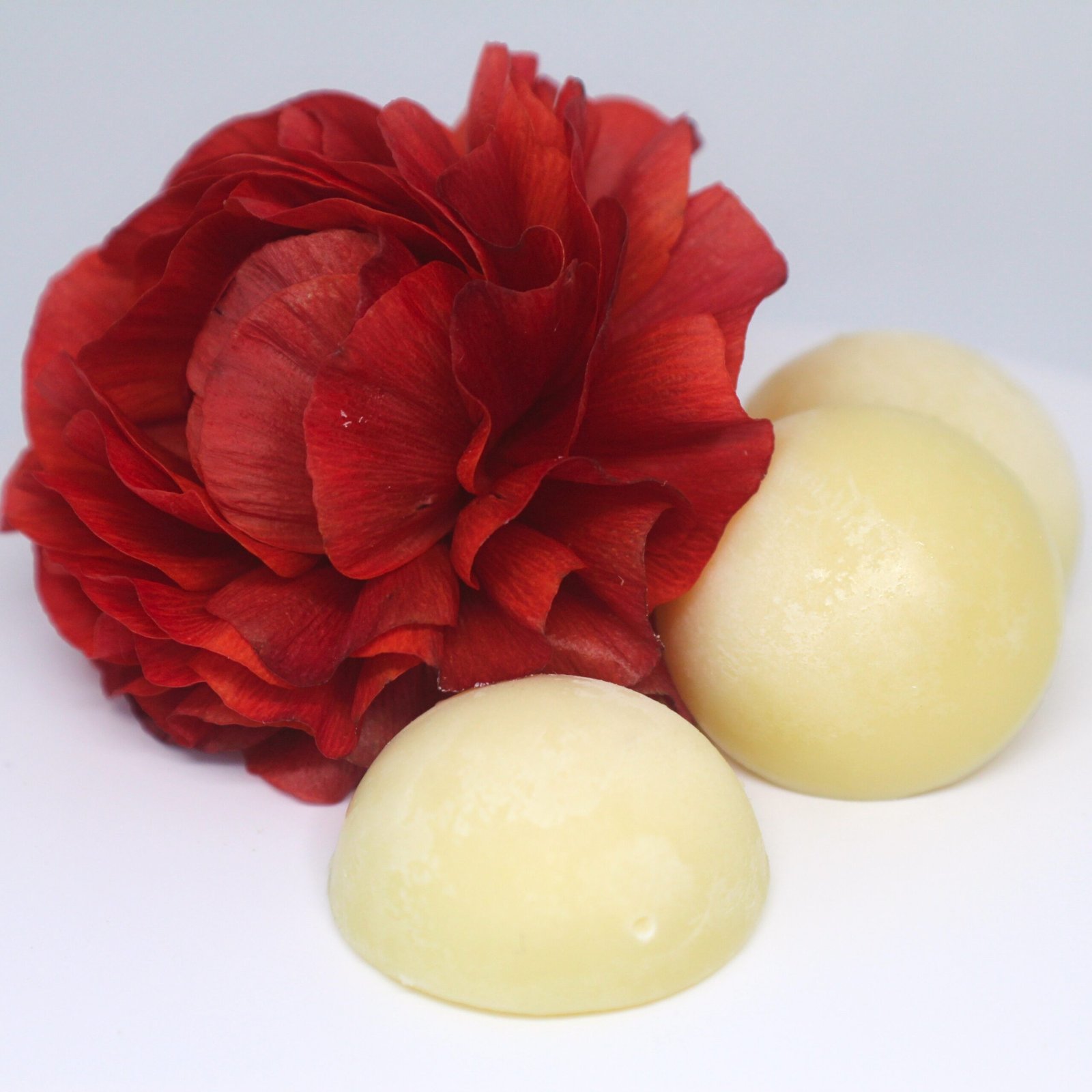 Rich Bath Melt : Unscented