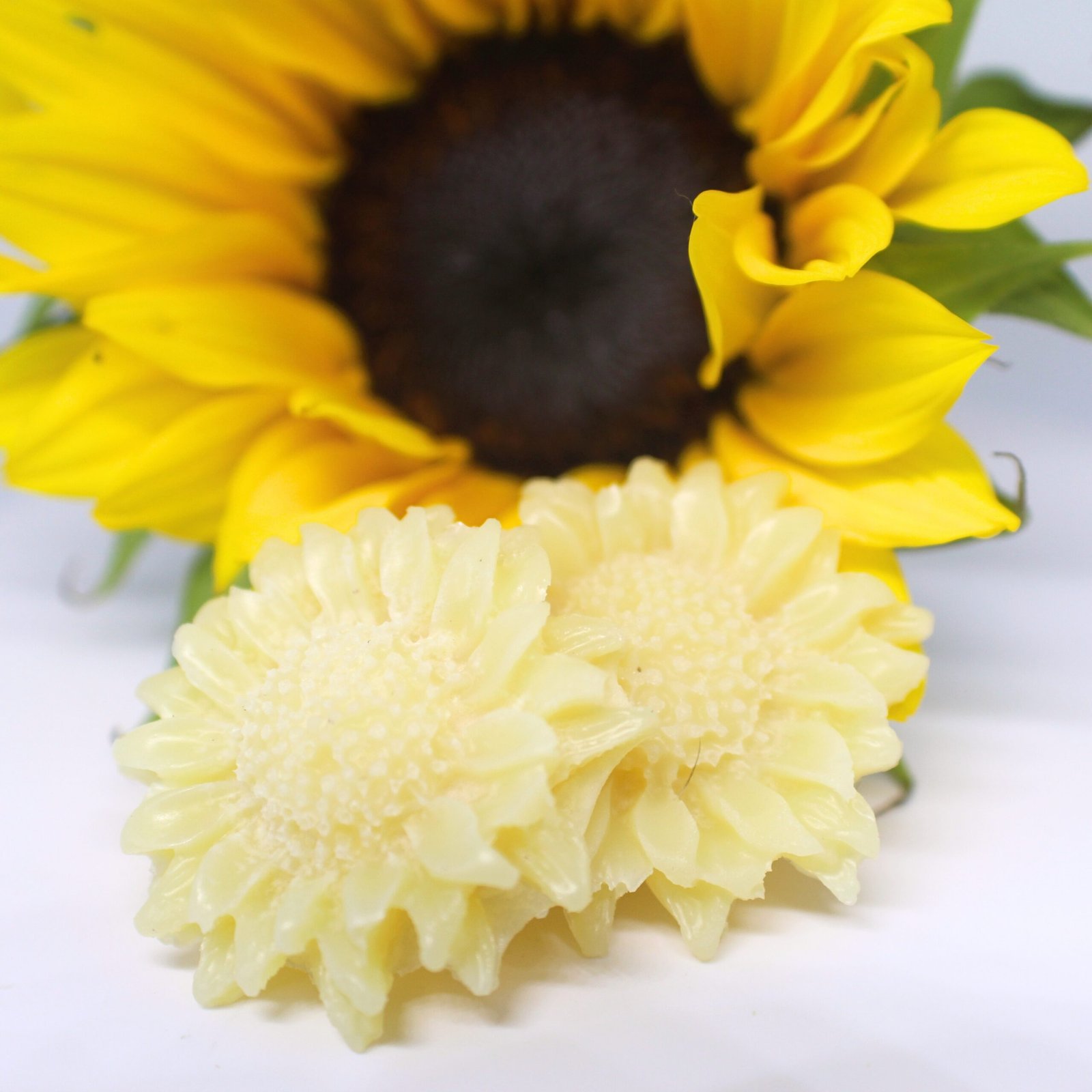 Rich Bath Melt : Unscented Sunflower